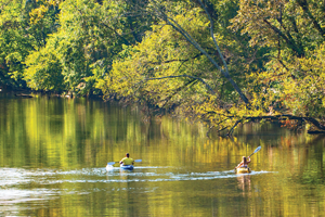 access-meherrin-river paddling Meherrin River