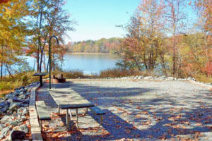 longwood-park-john-kerr-300x200 Longwood Park