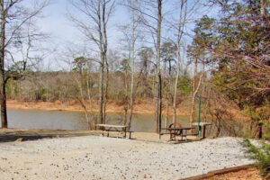 rudds-creek-park-300x200 Rudd's Creek