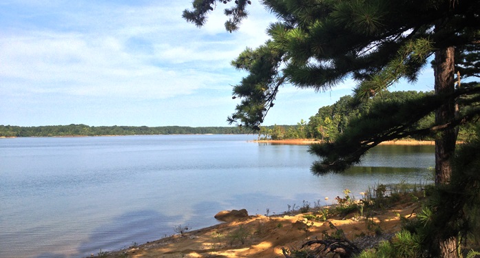 KerrLakeEastlandCreek_700x375