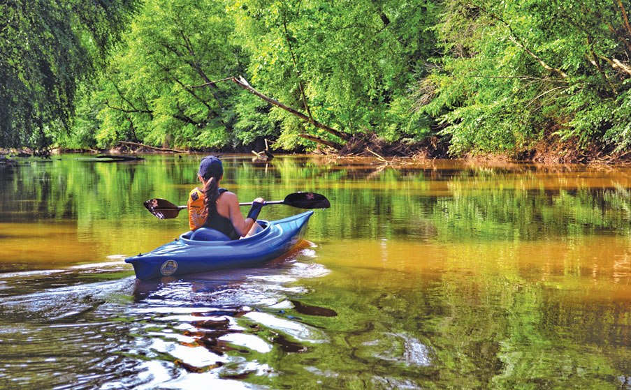 LynneGoodwin_SoVAWild-Blueway_BanisterRiver-kayaking