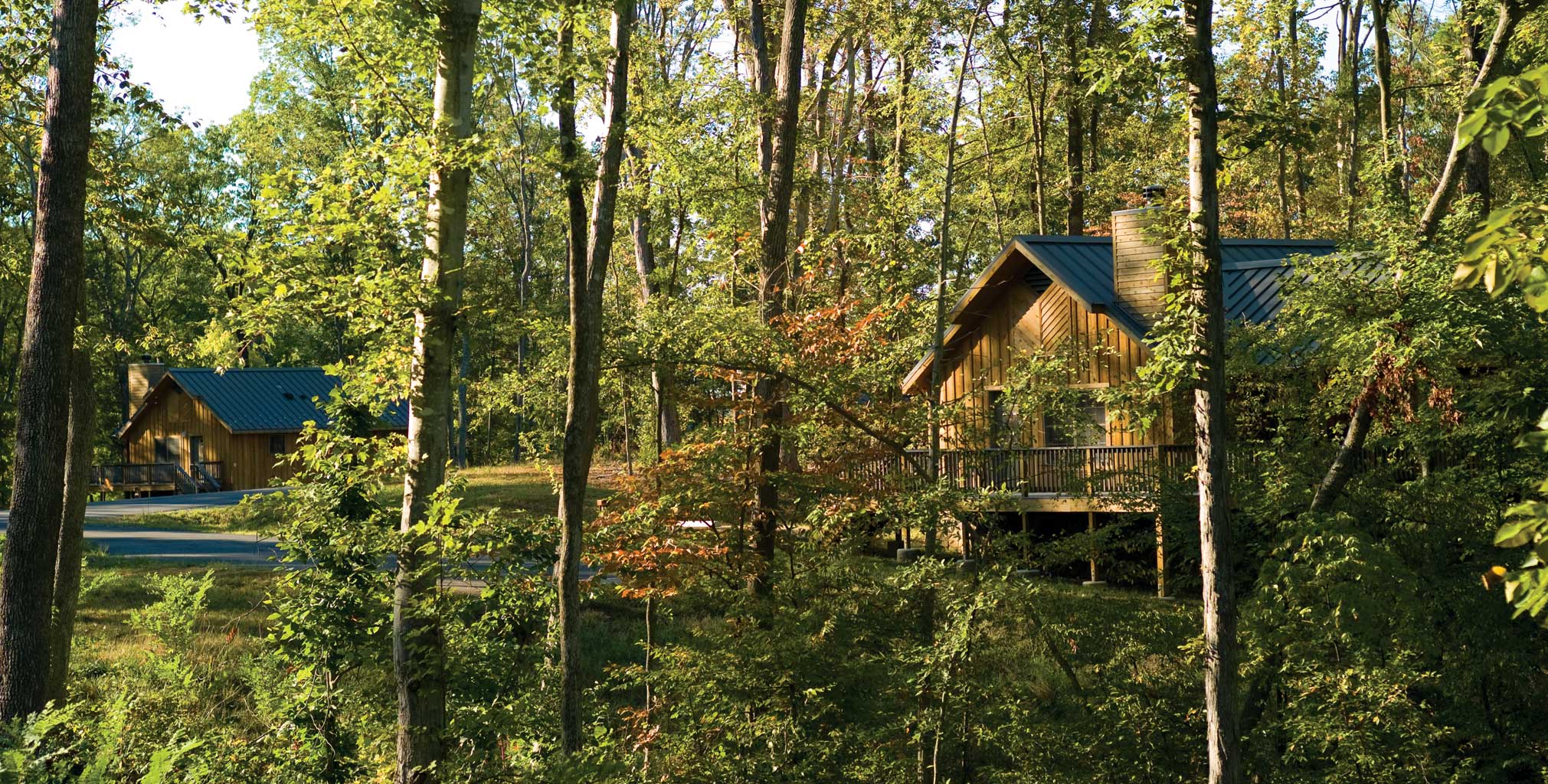cabins cabins