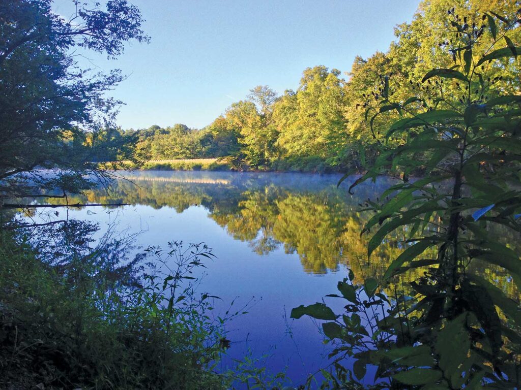 miles-creek-fishing-area